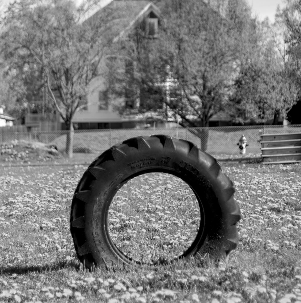 A black and white photo of a large tire embedded into the ground at a dog park.