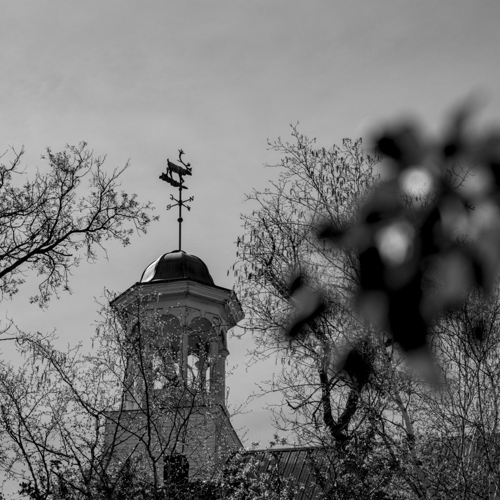 Looking up at the Caribou weather vane on top of a local church.