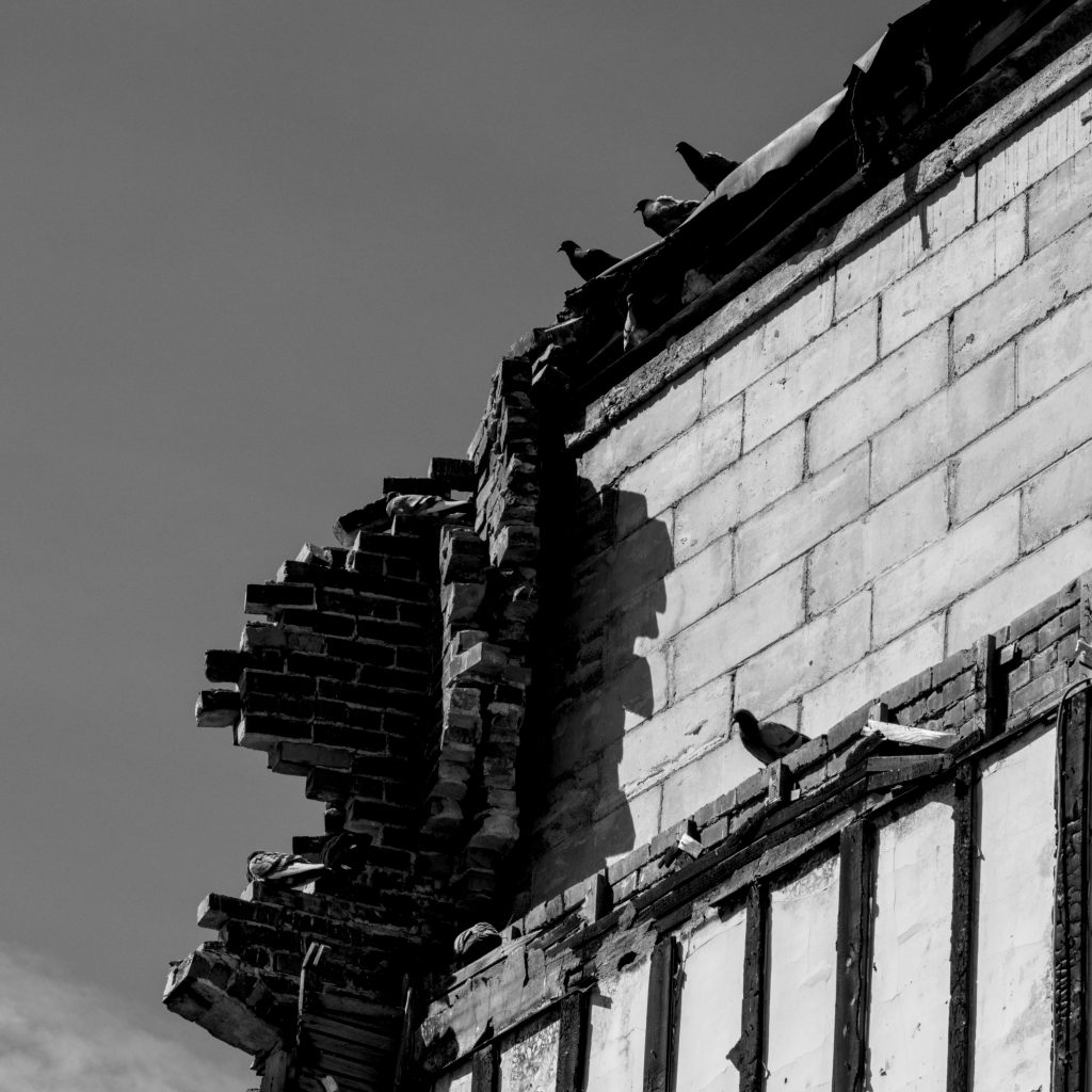 A photo of the infamous burned-out apartment building and the pigeons that have taken up residence.