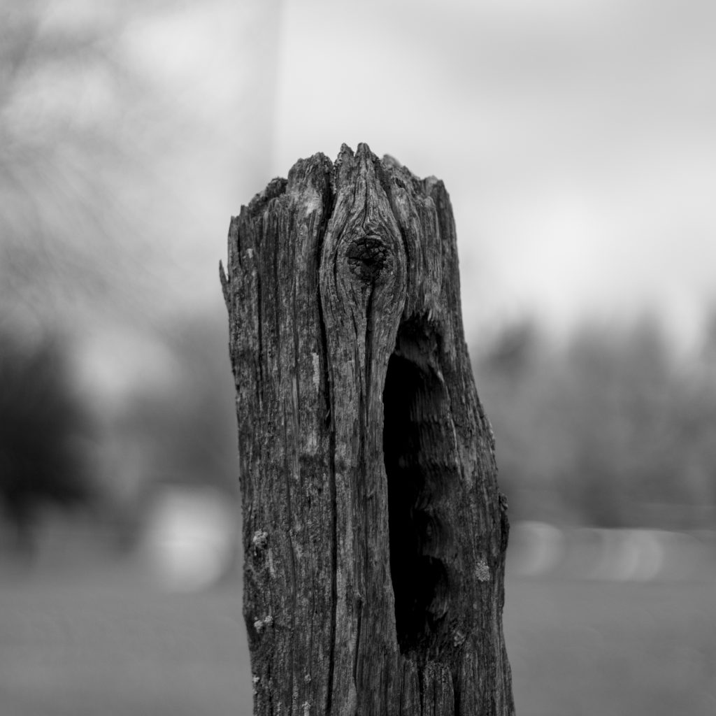 A old weathered wooden post.